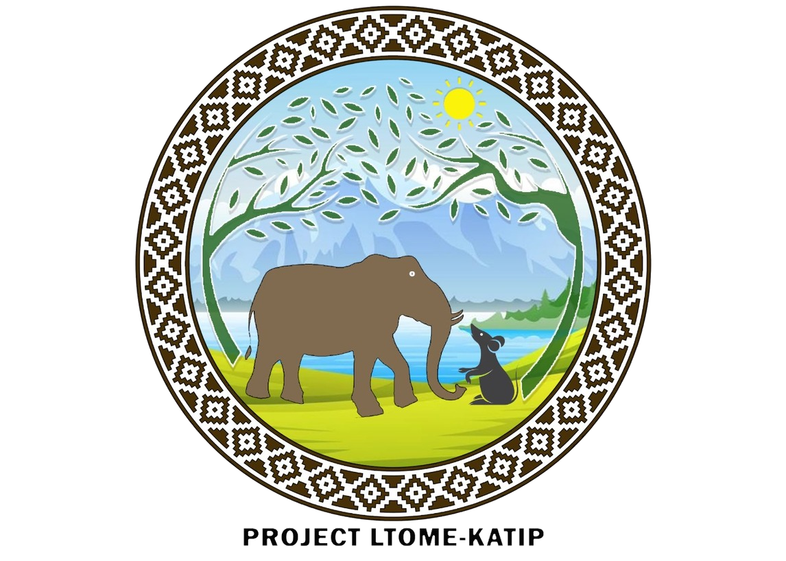 Project Logo